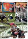 Puzzle vietnamien article  de Victoire  12 janvier 2008