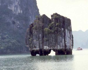 Agrandir l'image