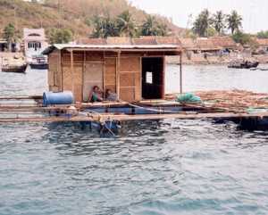 Click to display the file, photo10.jpg