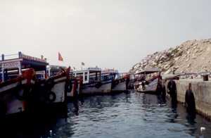 Click to display the file, photo11.jpg