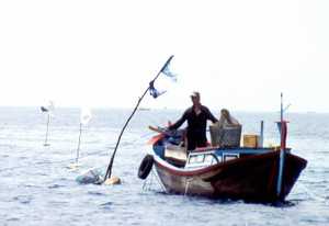 Click to display the file, photo7.jpg